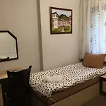 семеен гингеръ