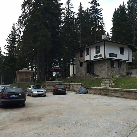 семеен гингеръ *