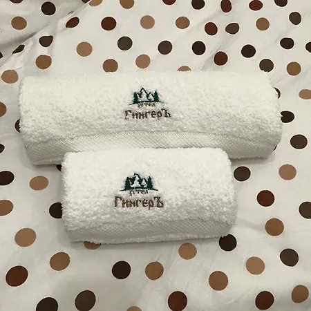 Hotell семеен гингеръ *