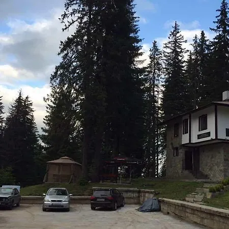 семеен гингеръ