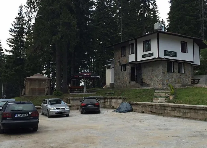 семеен гингеръ *