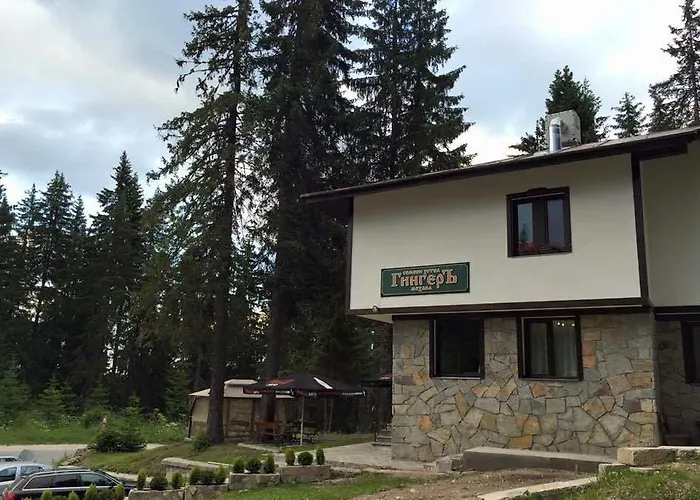 семеен гингеръ