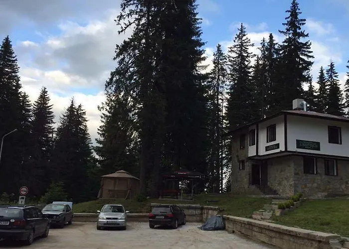 семеен гингеръ