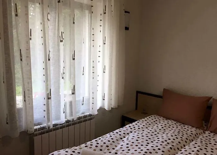 семеен гингеръ